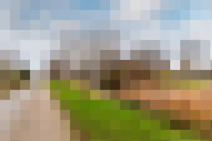 Botter 29 54 Lelystad thumbnail 23