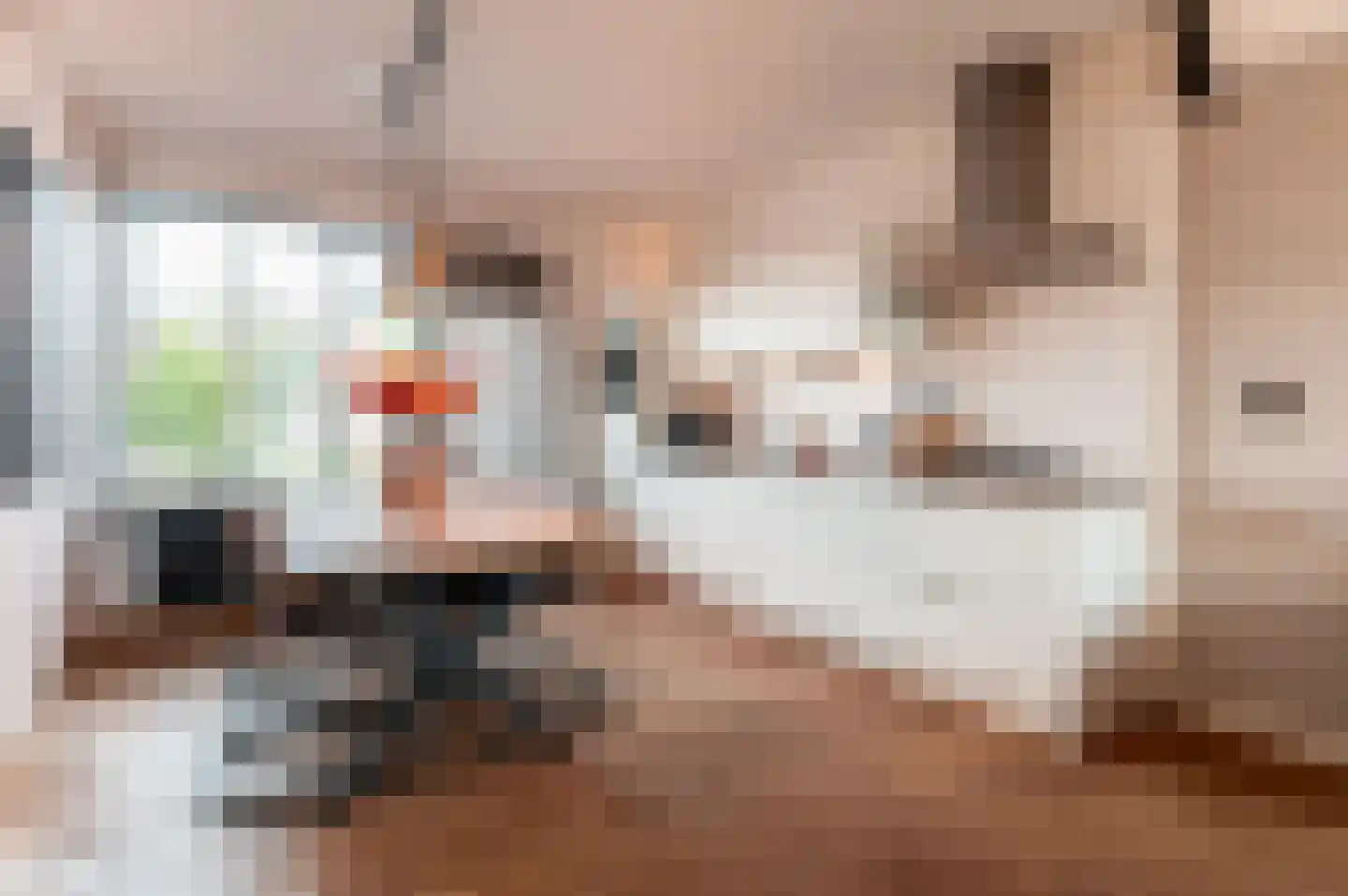Botter 29 63 Lelystad thumbnail 13