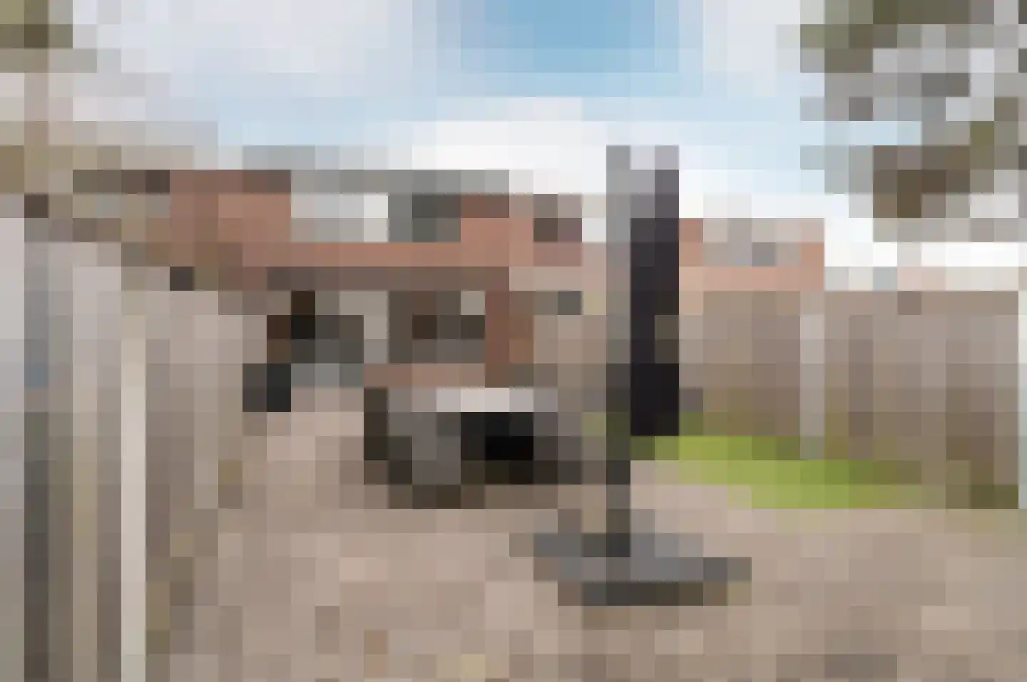 Botter 29 63 Lelystad thumbnail 37