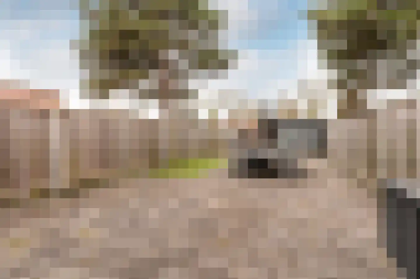 Botter 29 63 Lelystad thumbnail 38