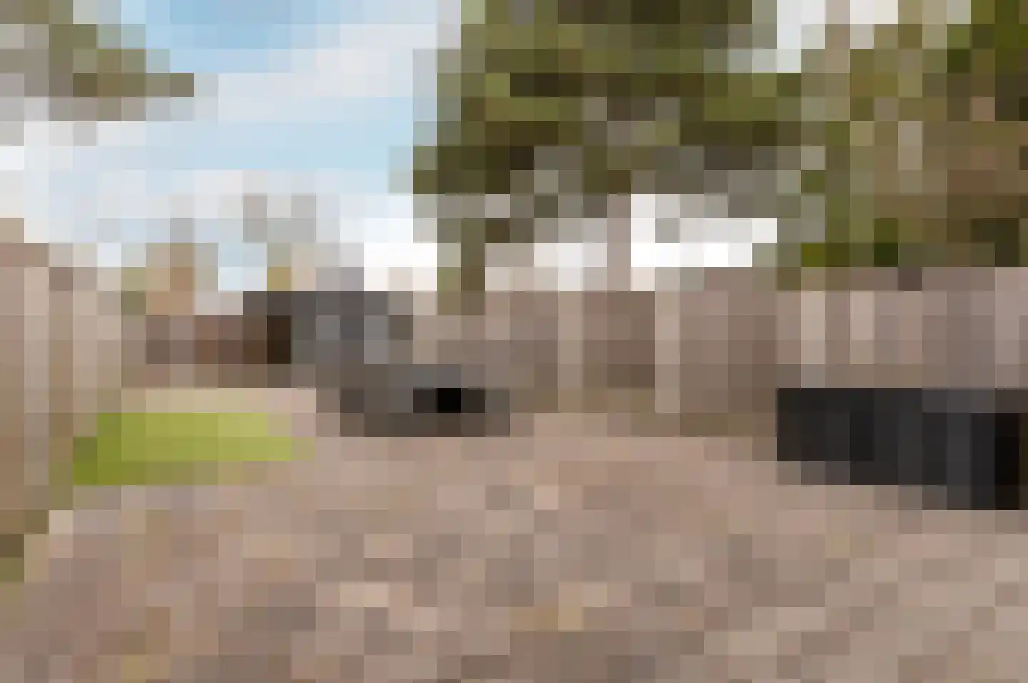 Botter 29 63 Lelystad thumbnail 39