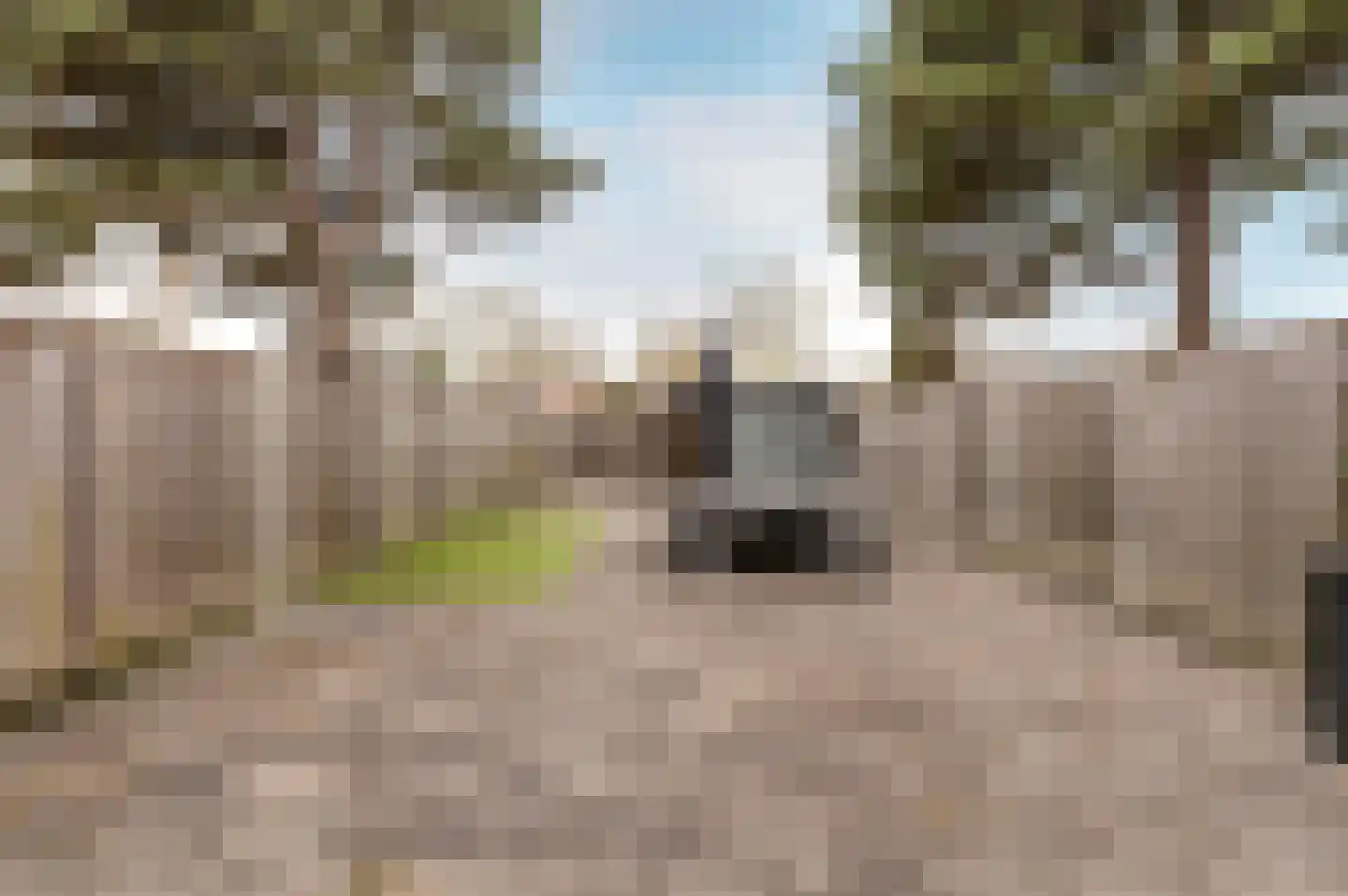 Botter 29 63 Lelystad thumbnail 6