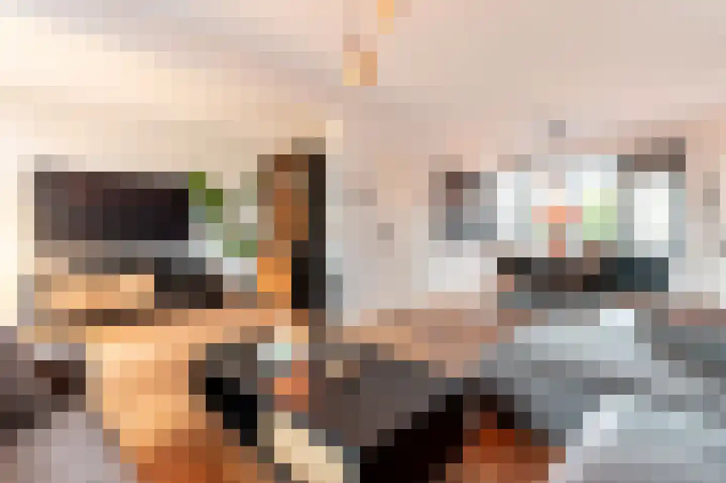 Botter 29 63 Lelystad thumbnail 8