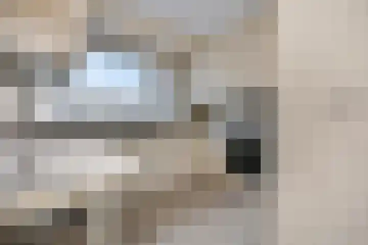 Botter 29 Veenendaal thumbnail 13