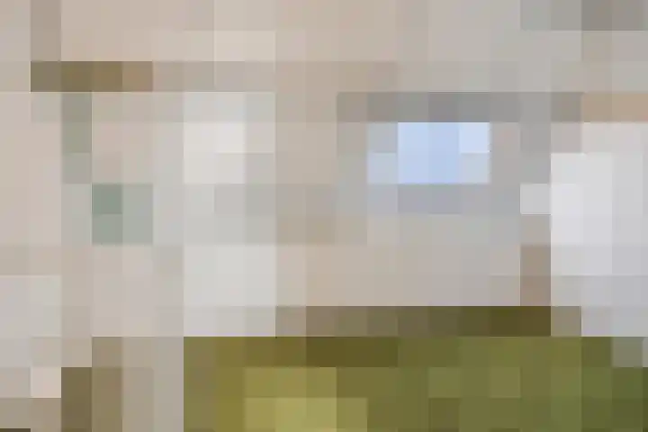 Botter 29 Veenendaal thumbnail 26