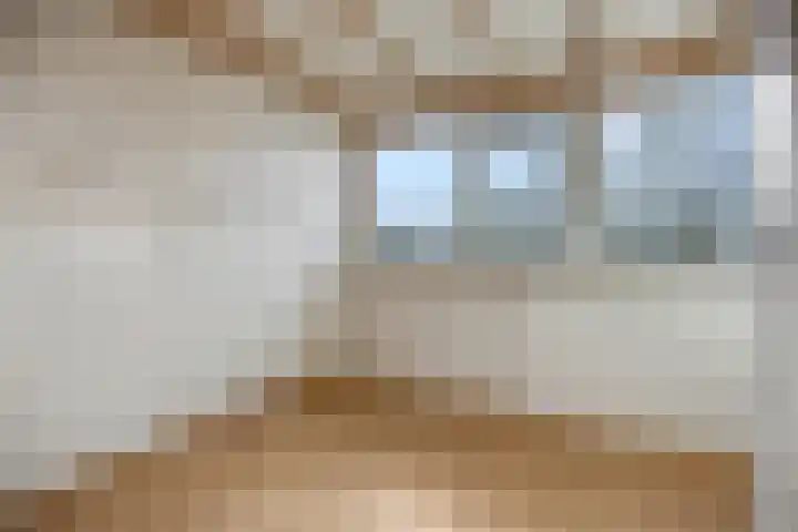 Botter 29 Veenendaal thumbnail 29