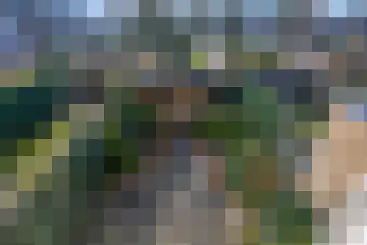 Botter 29 Veenendaal thumbnail 33