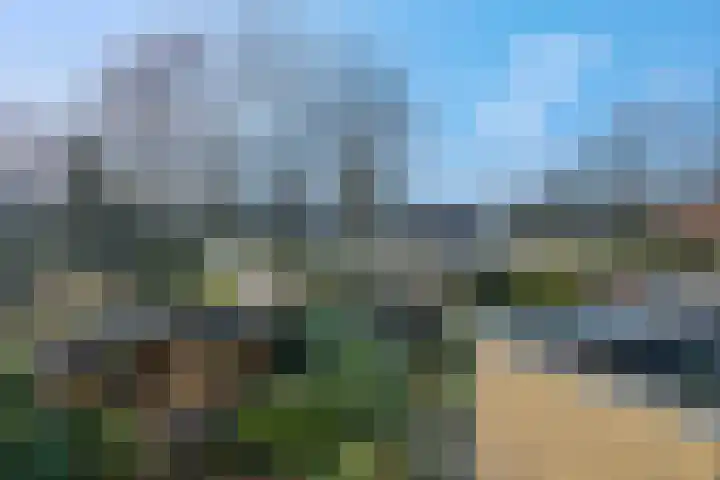 Botter 29 Veenendaal thumbnail 34