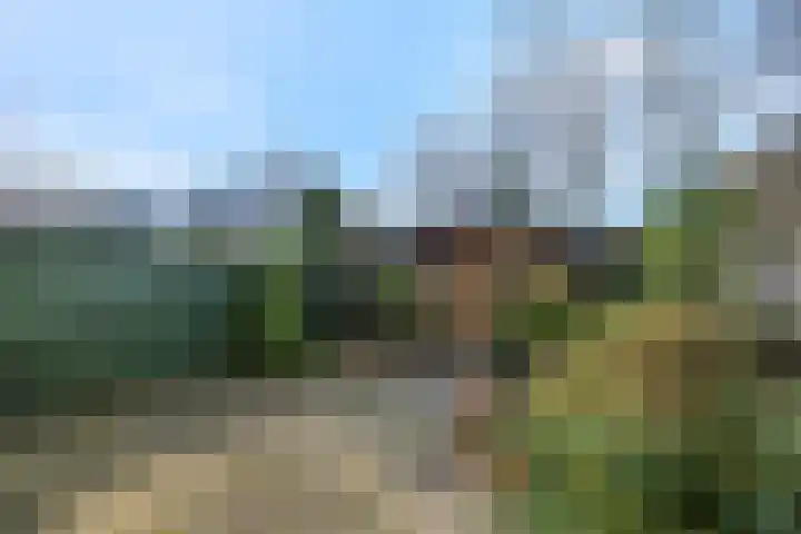 Botter 29 Veenendaal thumbnail 35