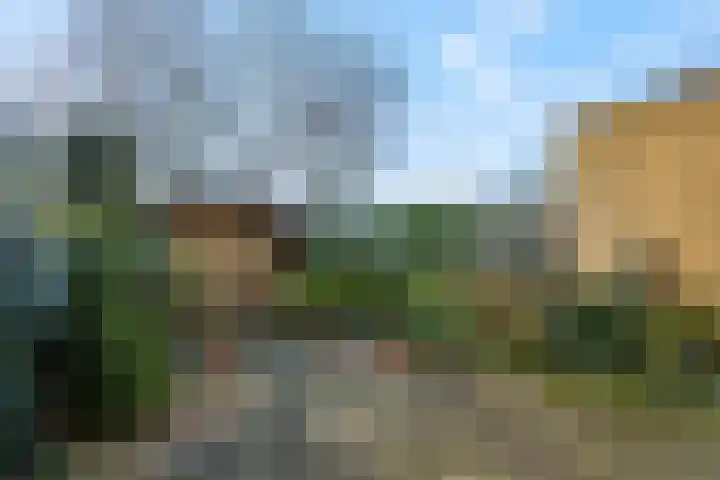 Botter 29 Veenendaal thumbnail 36