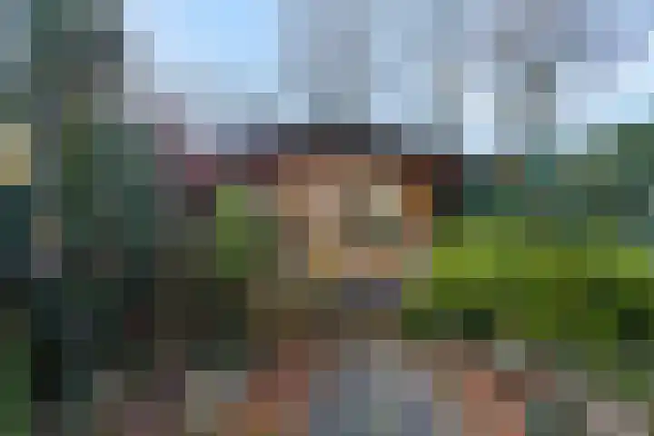 Botter 29 Veenendaal thumbnail 37