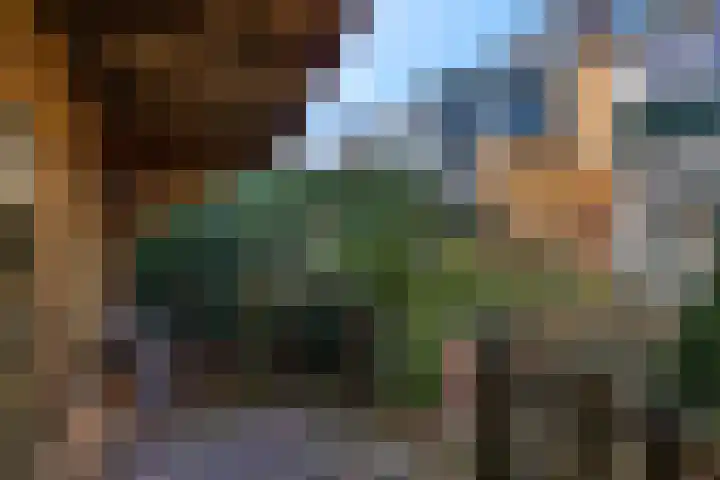 Botter 29 Veenendaal thumbnail 38
