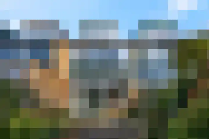 Botter 29 Veenendaal thumbnail 39
