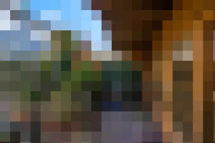 Botter 29 Veenendaal thumbnail 40