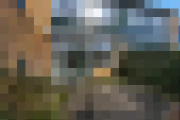 Botter 29 Veenendaal thumbnail 41
