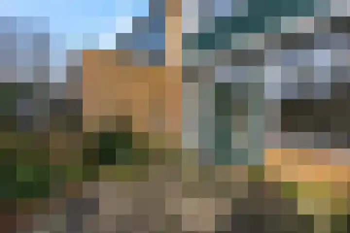 Botter 29 Veenendaal thumbnail 42