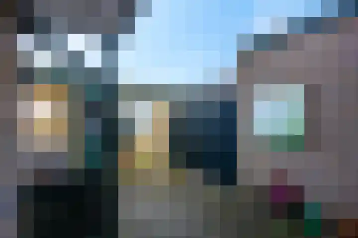 Botter 29 Veenendaal thumbnail 43