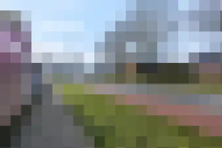 Botter 29 Veenendaal thumbnail 53