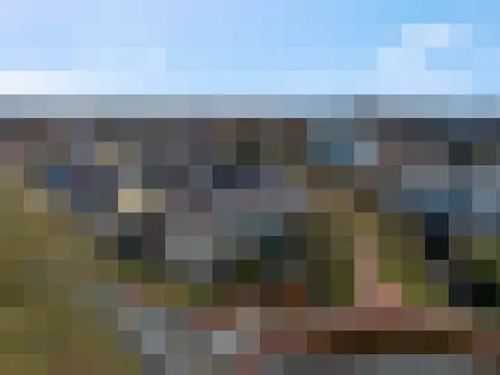 Botter 29 Veenendaal thumbnail 58
