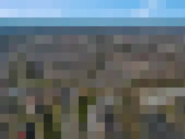 Botter 29 Veenendaal thumbnail 60