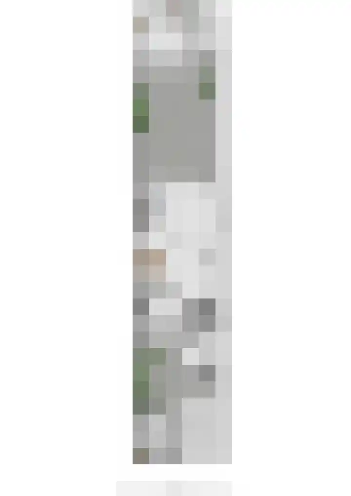 Botter 29 Veenendaal thumbnail 62