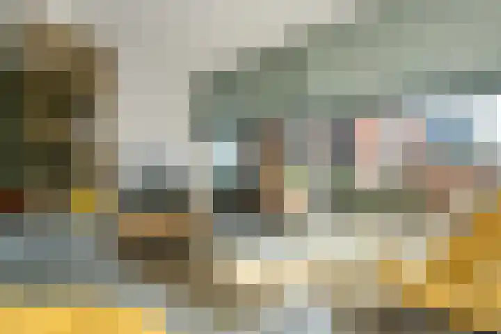 Botter 3 Alblasserdam thumbnail 10