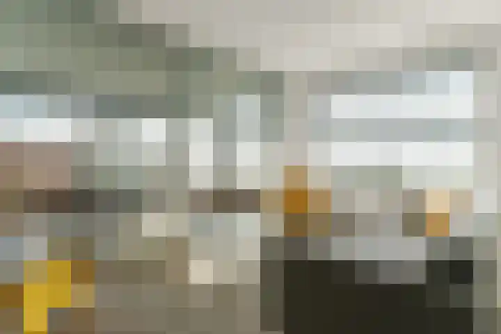 Botter 3 Alblasserdam thumbnail 11