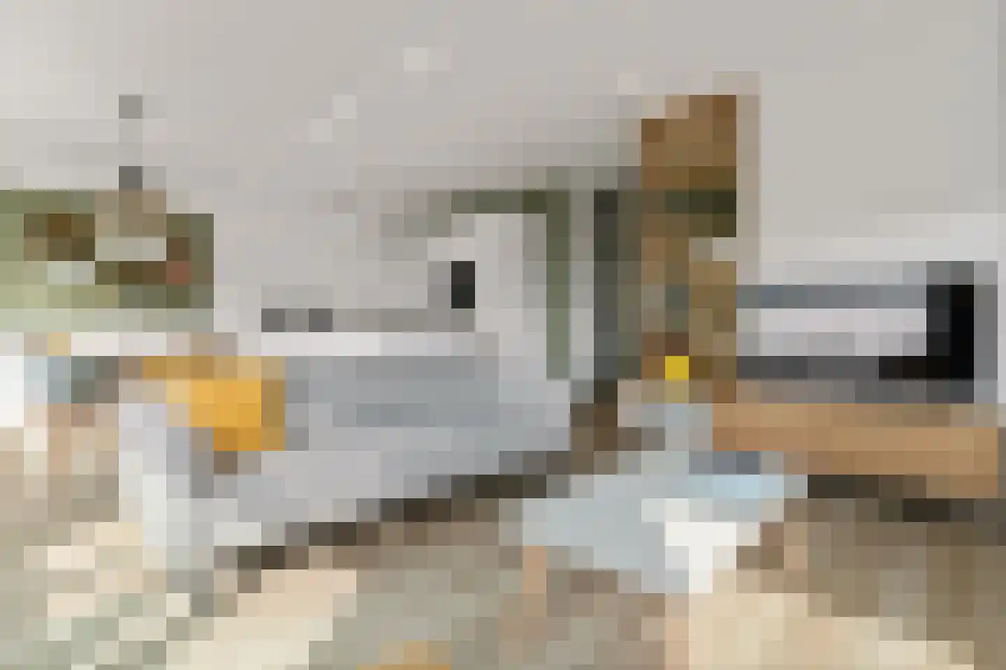 Botter 3 Alblasserdam thumbnail 12