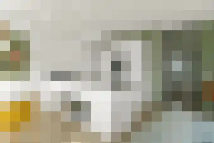 Botter 3 Alblasserdam thumbnail 13