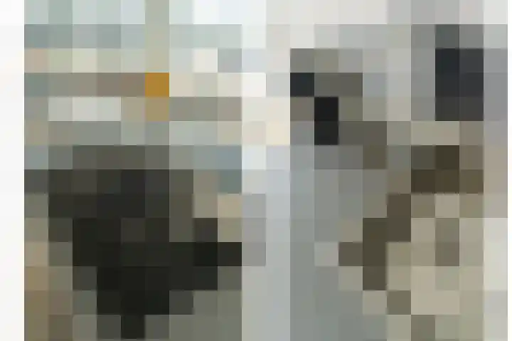 Botter 3 Alblasserdam thumbnail 14