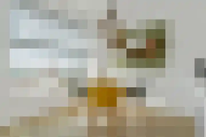 Botter 3 Alblasserdam thumbnail 15
