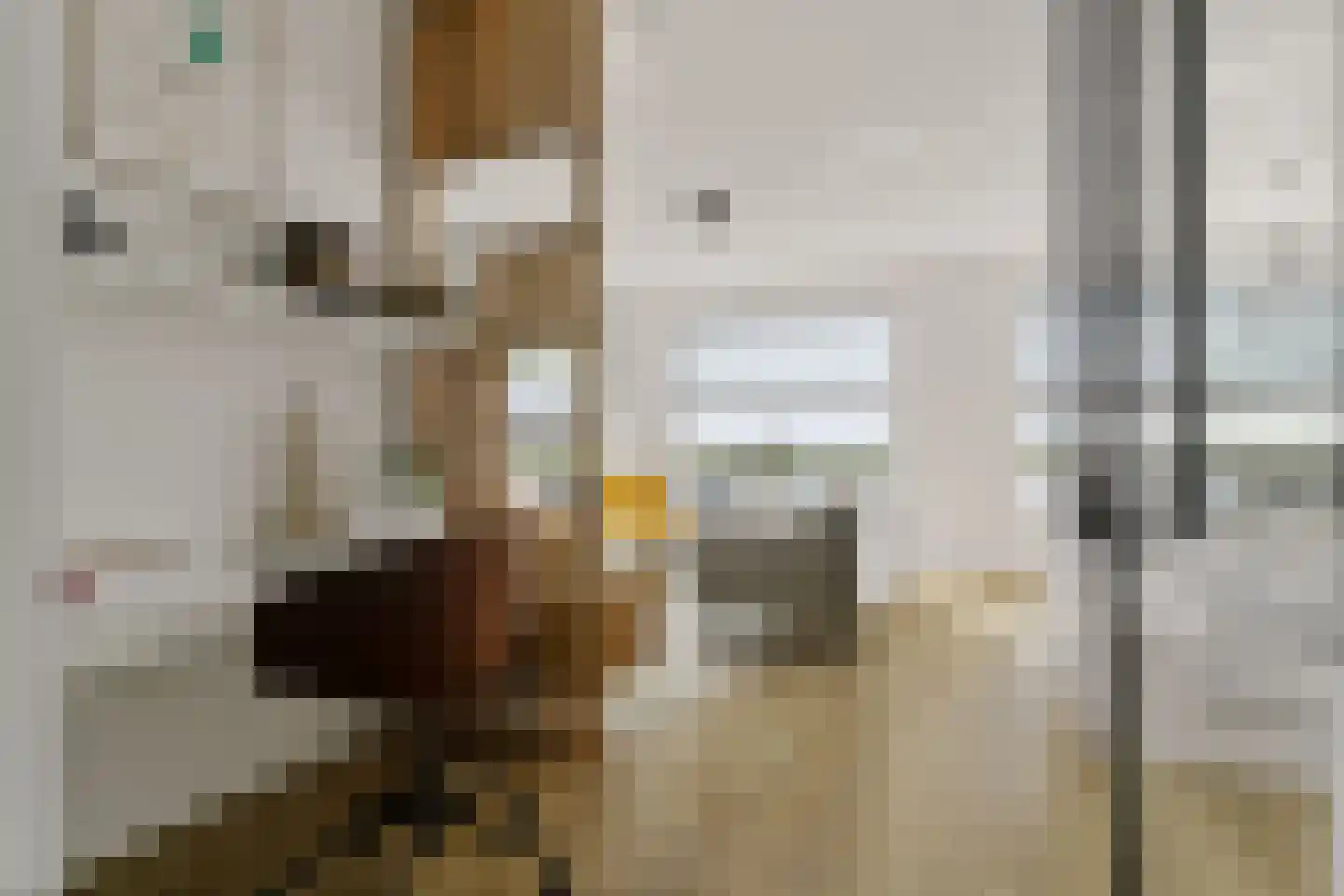 Botter 3 Alblasserdam thumbnail 17