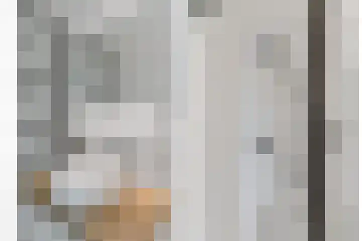 Botter 3 Alblasserdam thumbnail 26