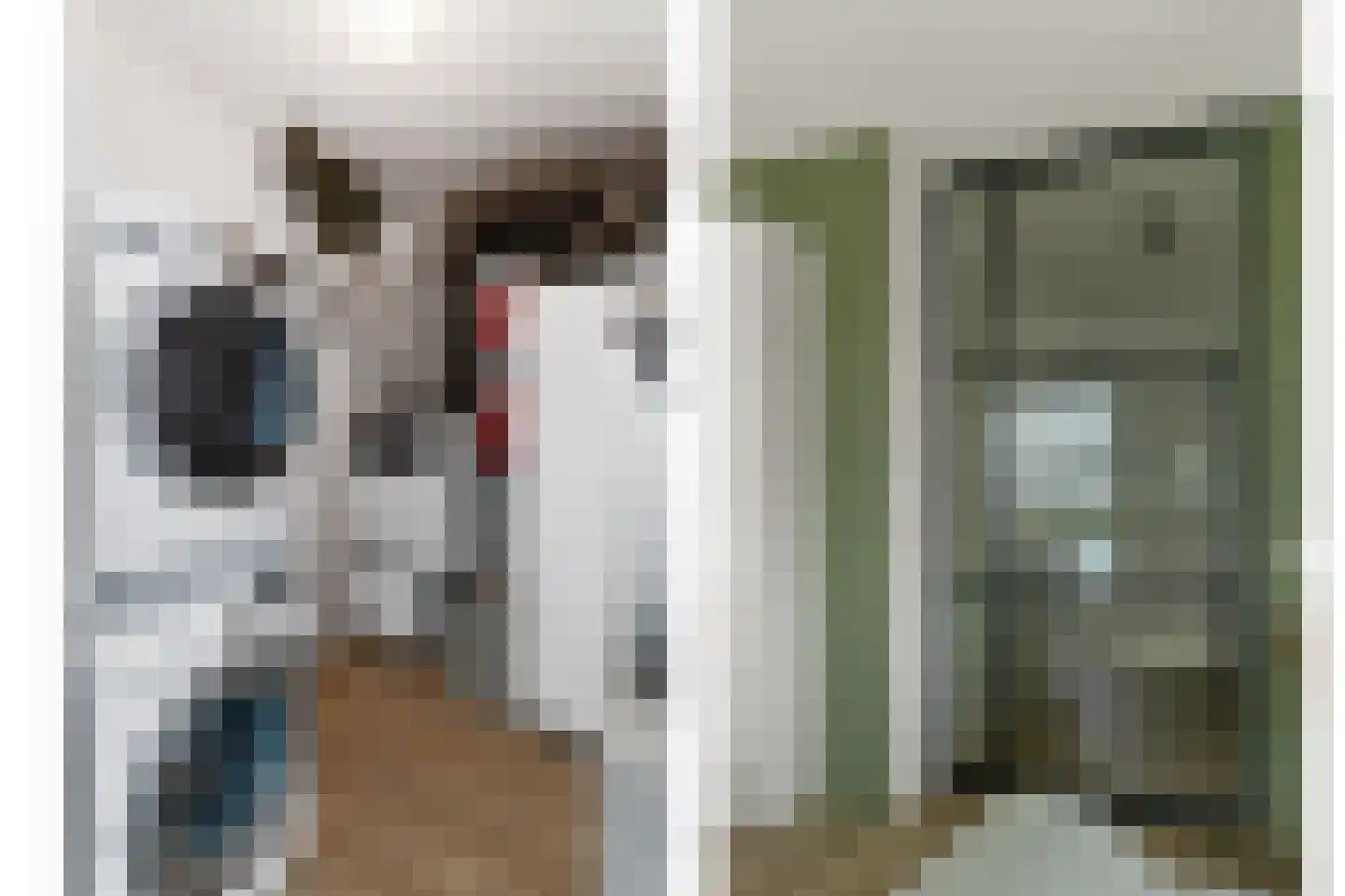 Botter 3 Alblasserdam thumbnail 28