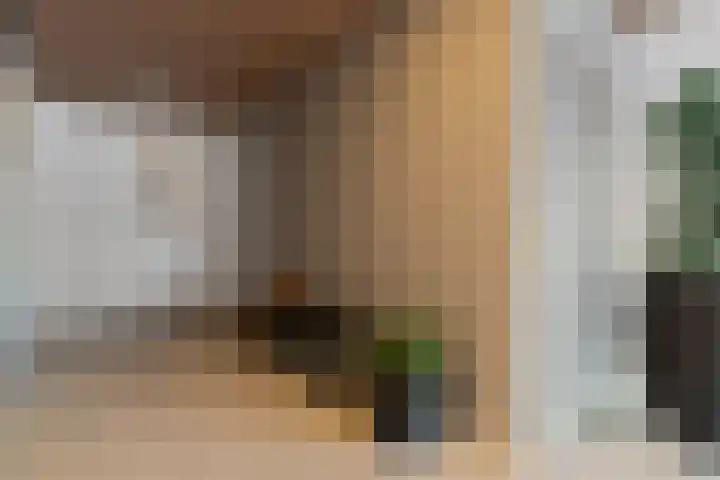 Botter 3 Alblasserdam thumbnail 29