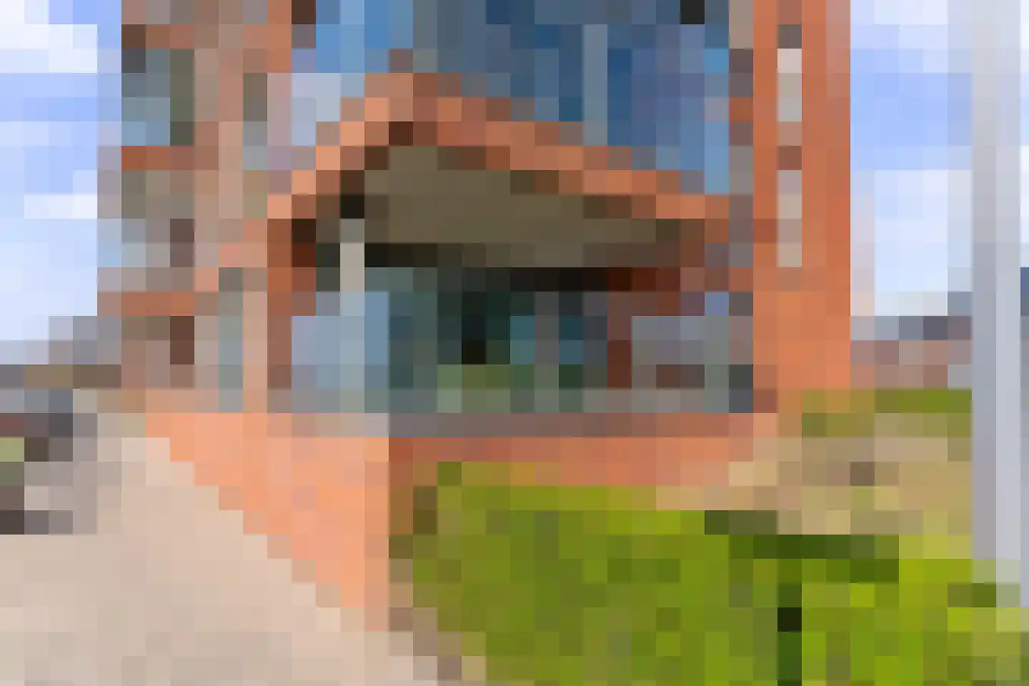 Botter 3 Alblasserdam thumbnail 31