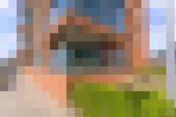 Botter 3 Alblasserdam thumbnail 31
