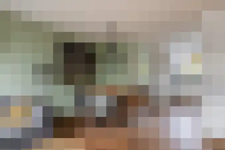 Botter 3 Stellendam thumbnail 10