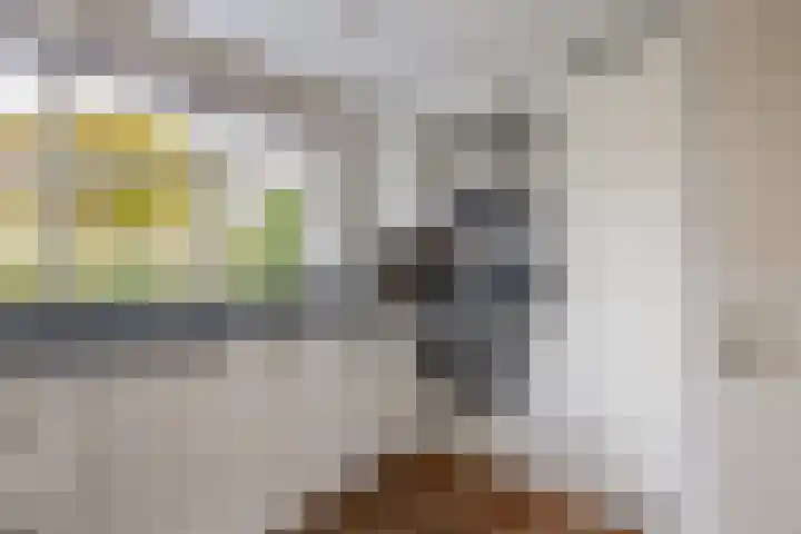 Botter 3 Stellendam thumbnail 11