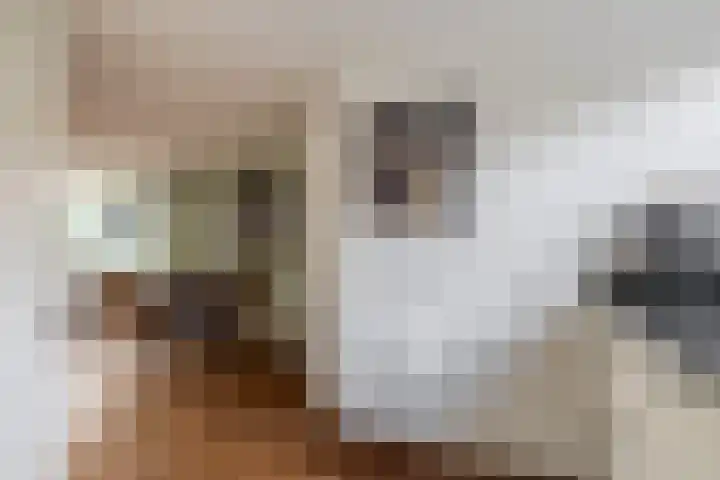 Botter 3 Stellendam thumbnail 12