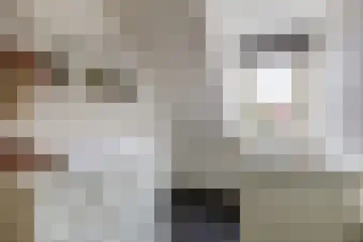 Botter 3 Stellendam thumbnail 16