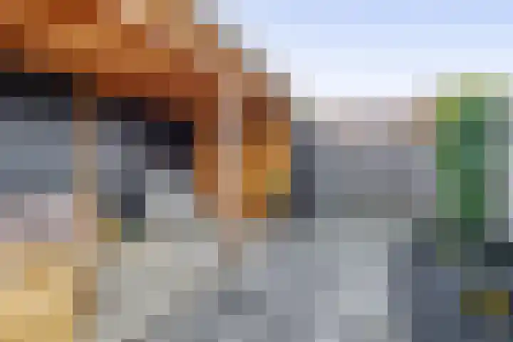 Botter 3 Stellendam thumbnail 25