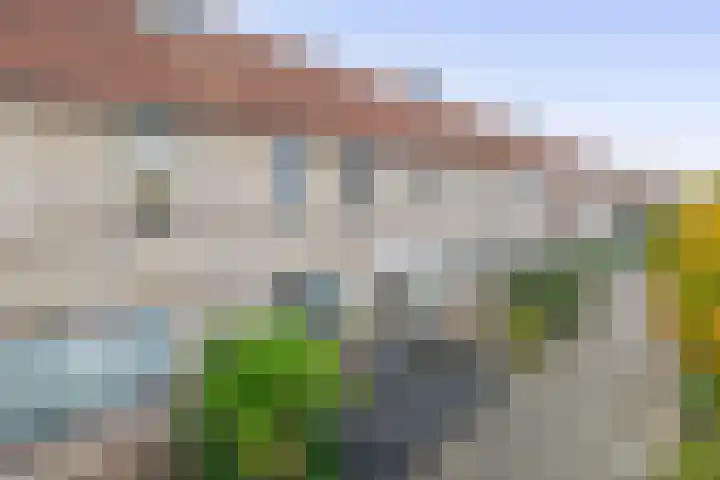 Botter 3 Stellendam thumbnail 5