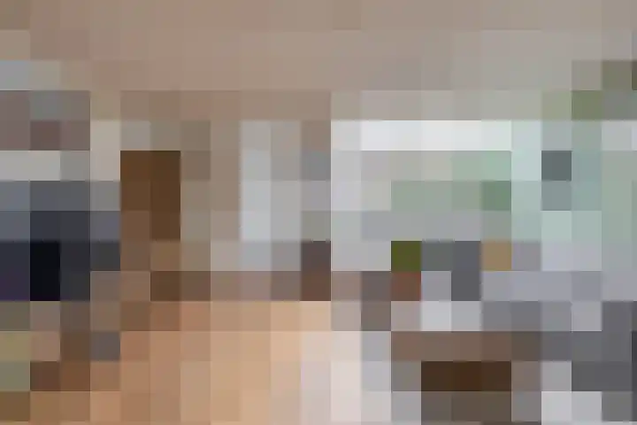 Botter 3 Stellendam thumbnail 8