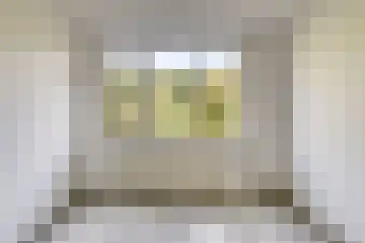 Botter 31 31 7 Lelystad thumbnail 15