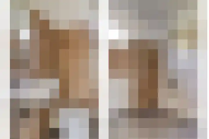 Botter 31 31 7 Lelystad thumbnail 17