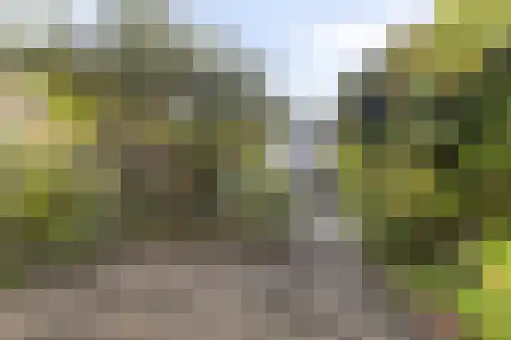 Botter 31 31 7 Lelystad thumbnail 23