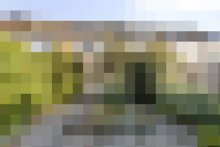 Botter 31 7 Lelystad thumbnail 22