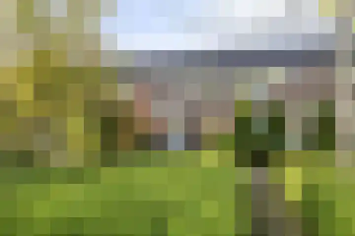 Botter 31 7 Lelystad thumbnail 24