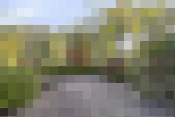 Botter 31 7 Lelystad thumbnail 25